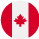 Icono Flag CAD